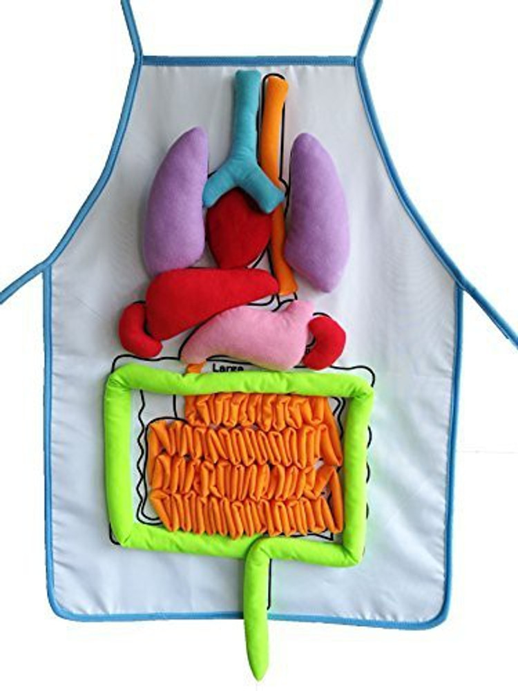 Human on sale body apron