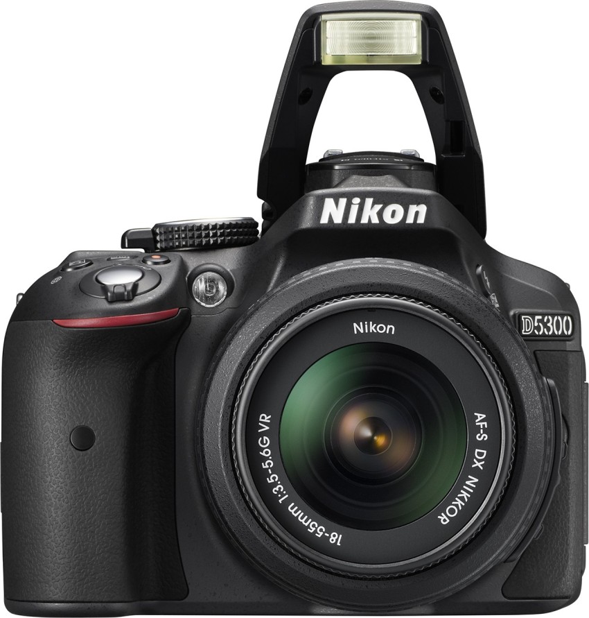 NIKON D DSLR Camera Body with Dual Lens: AF P DX NIKKOR