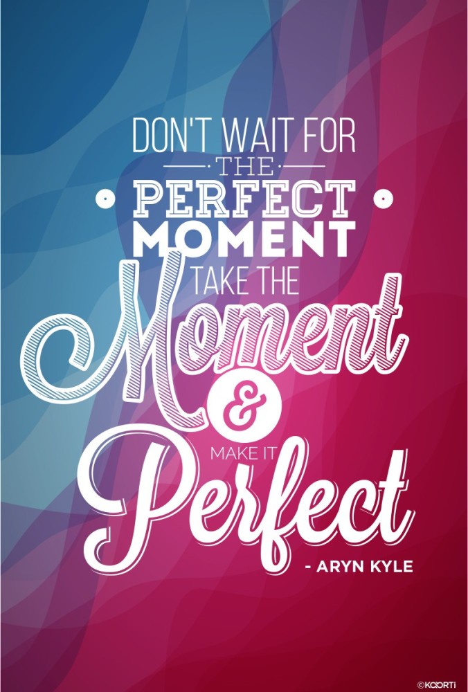 Aryn Kyle Quote: “Don't wait for the perfect moment. Take the moment and  make it
