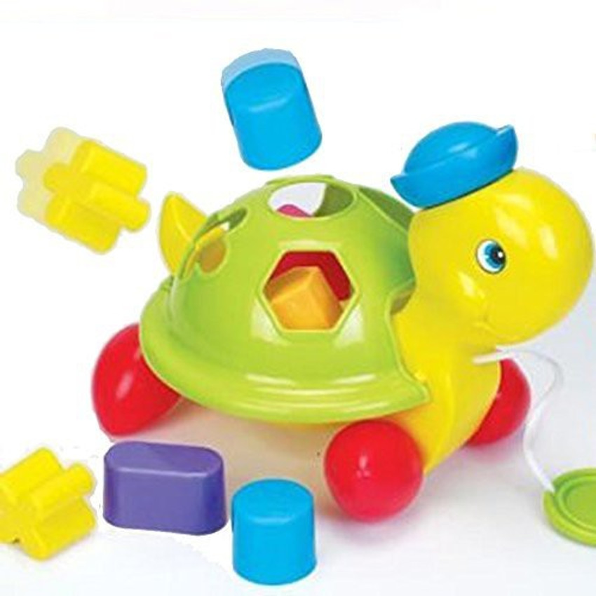 Turtle shape sorter new arrivals