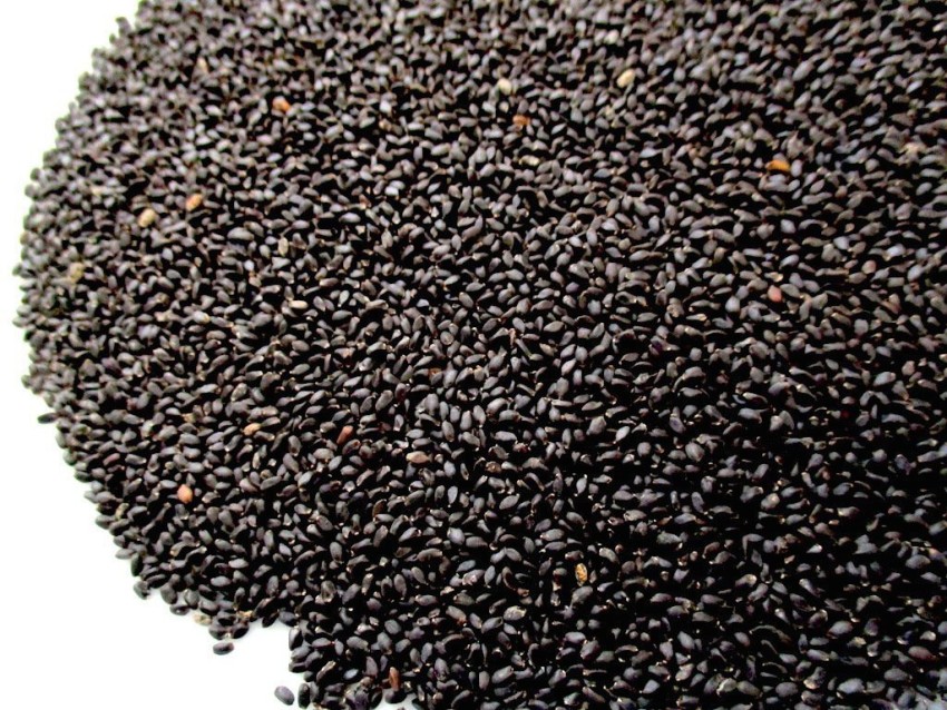 Chataka Sweet Basil Seeds Sweet Basil Seeds Price in India Buy