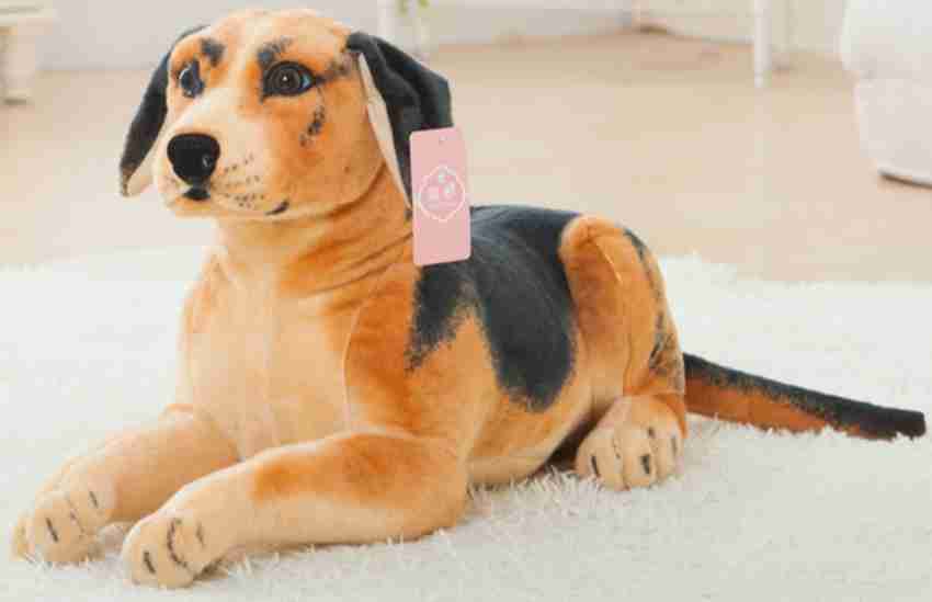 Buy Dog Toys Online From Flipkart  Best Deals on All Products 05