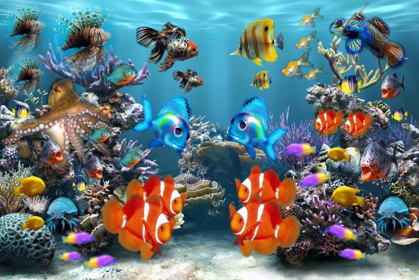 47 Aquarium HD 1080p Wallpaper  WallpaperSafari