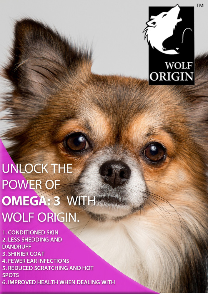 Wolf Origin 01 1 kg Dry Adult Dog Food Price in India Buy Wolf