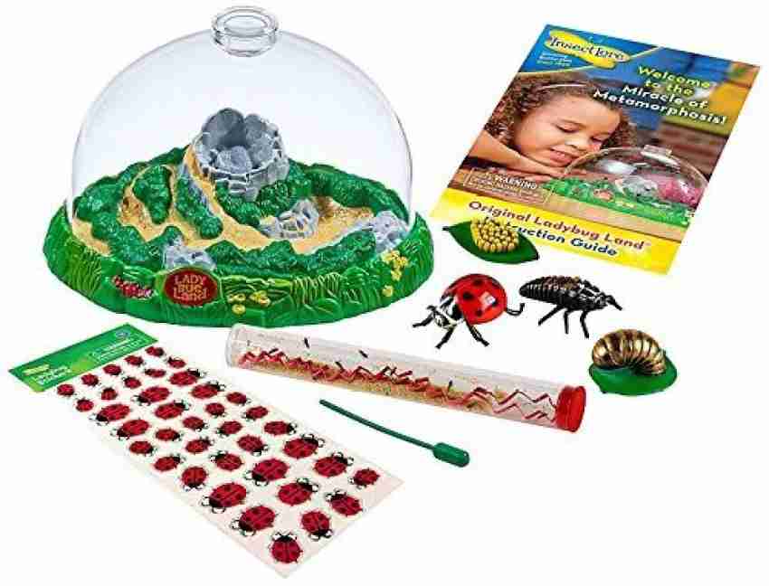 Insect Lore Ladybug Land Gift Set Live Habitat Kit Price in India