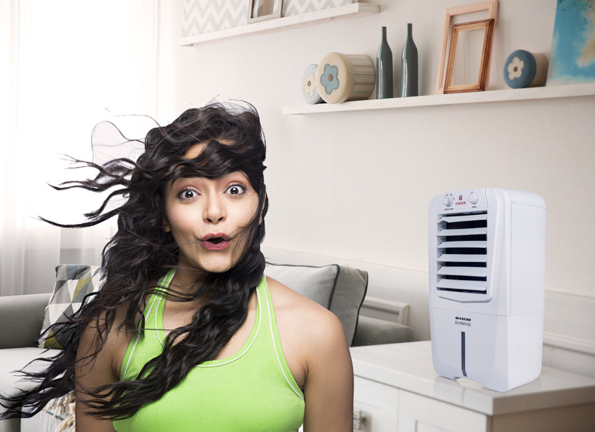 Singer 10 L Room Personal Air Cooler Price in India Buy Singer