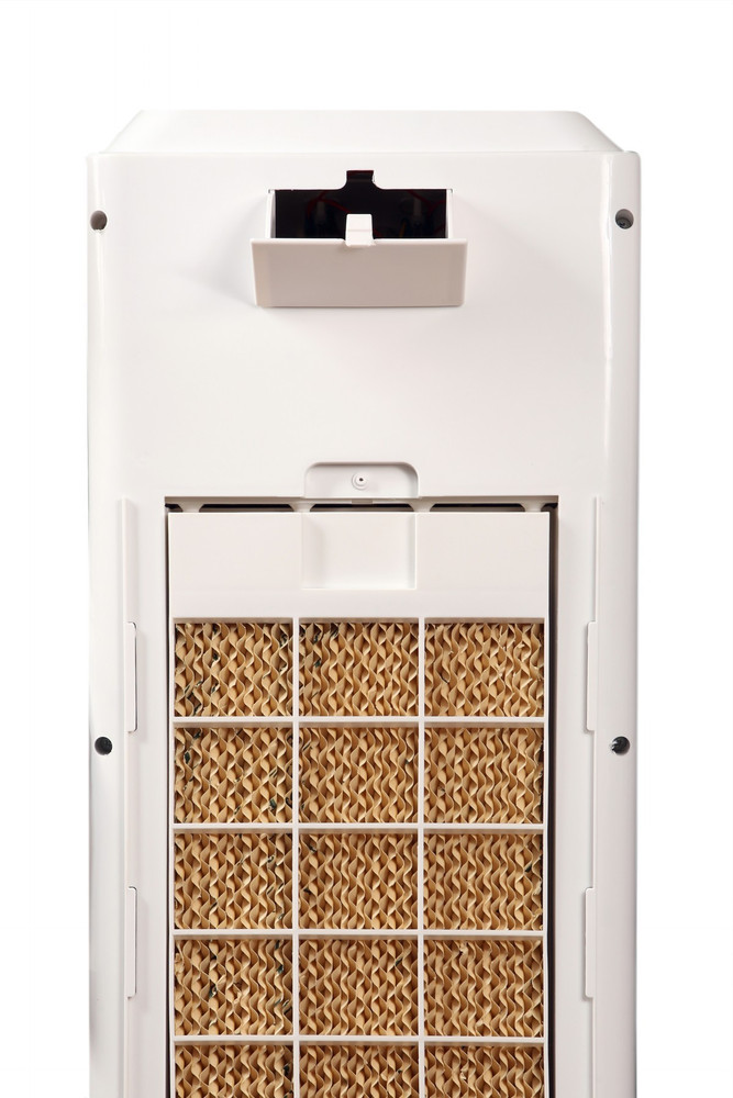 Varna cooler jazz best sale 26