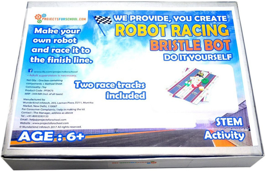 Bristlebot hotsell science project