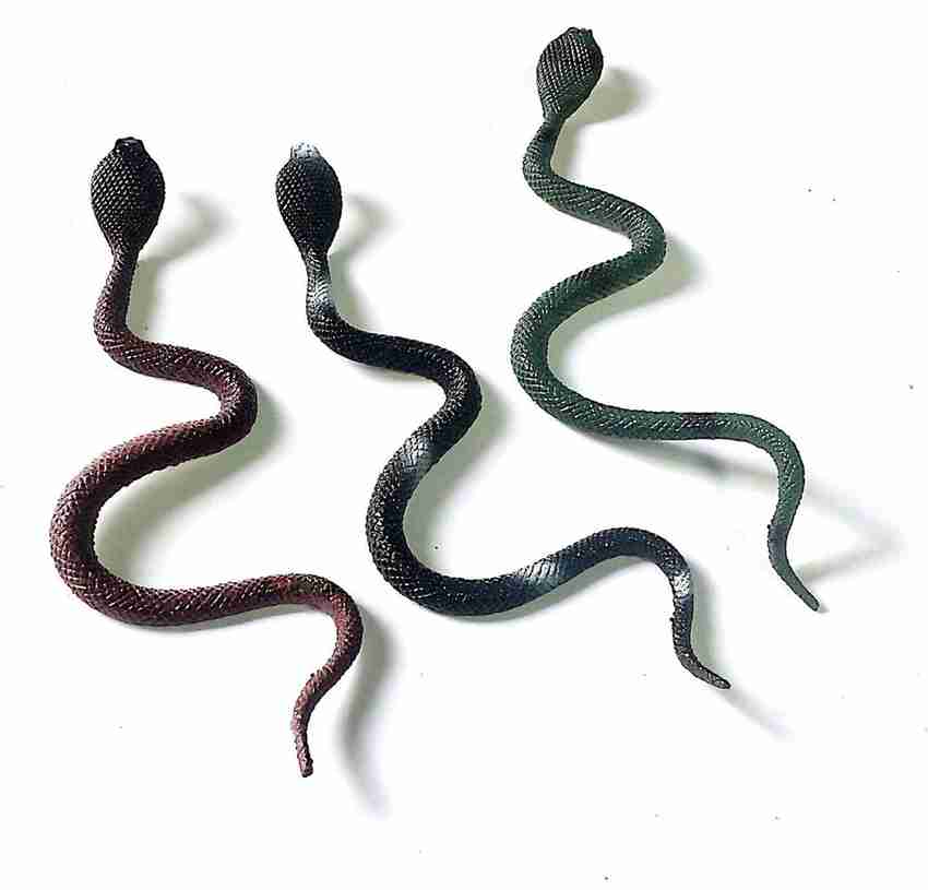 DELTOYHUT Small Rubber Snake Anaconda Snake Toy Rainforest Snakes 10 Counting Prank Snake Toys Small Rubber Snake Anaconda Snake Toy Rainforest Snakes 10 Counting Prank Snake Toys shop for DELTOYHUT