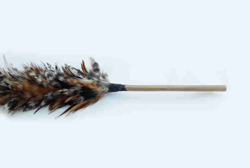 Feather duster 2025