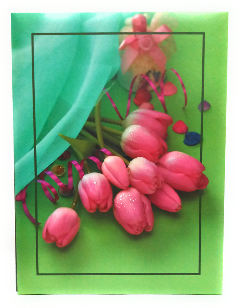 Buy Natraj Memo Screw Type 300 Pocket 4 X 6 inch Album
