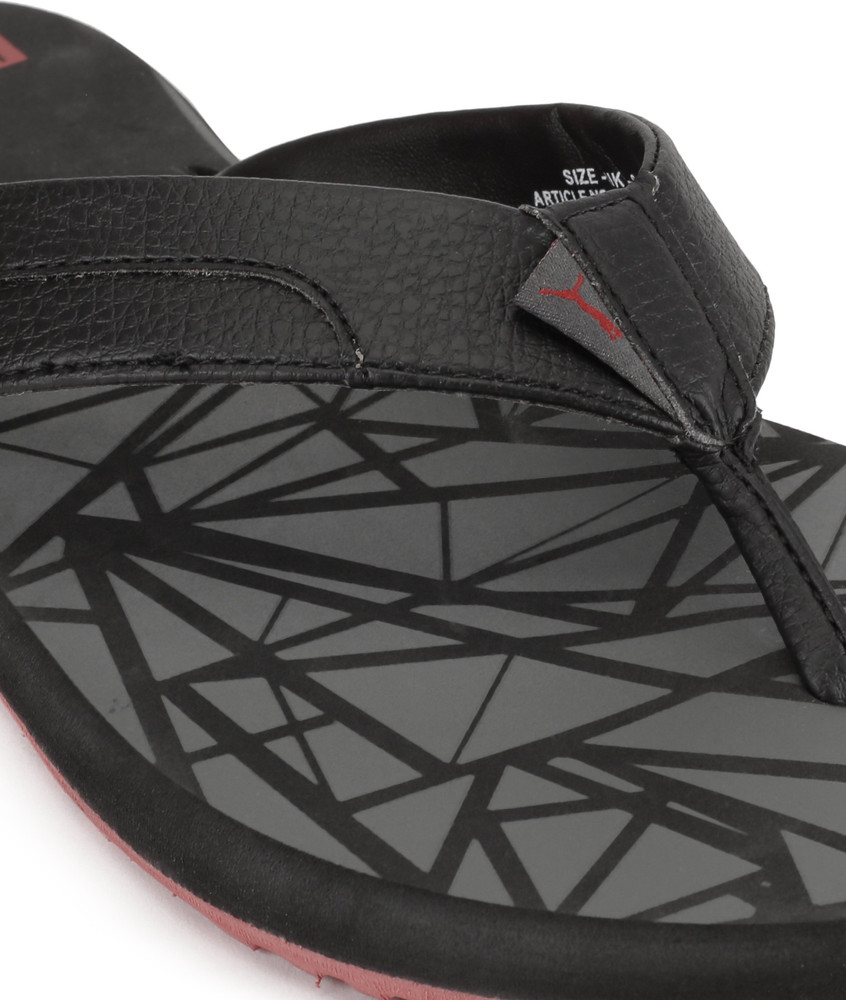 Puma wrens 2024 gu idp