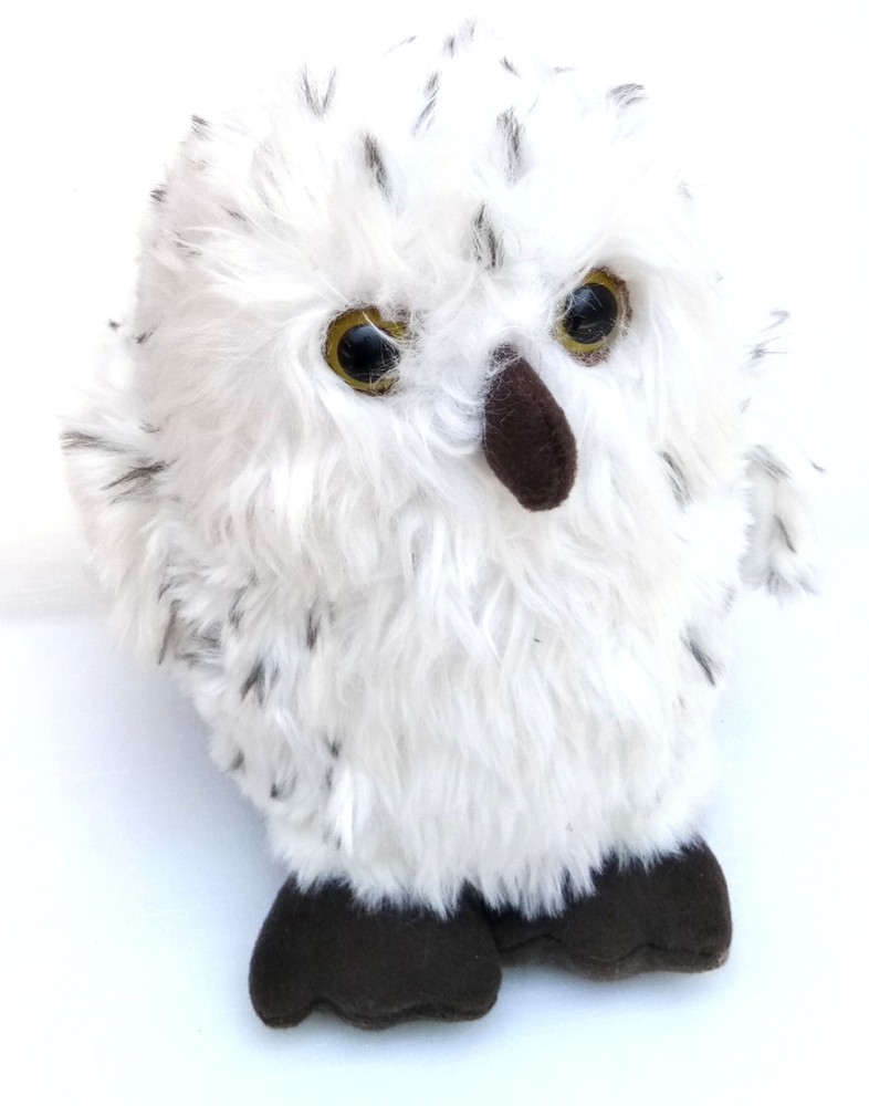 Hedwig deals teddy bear