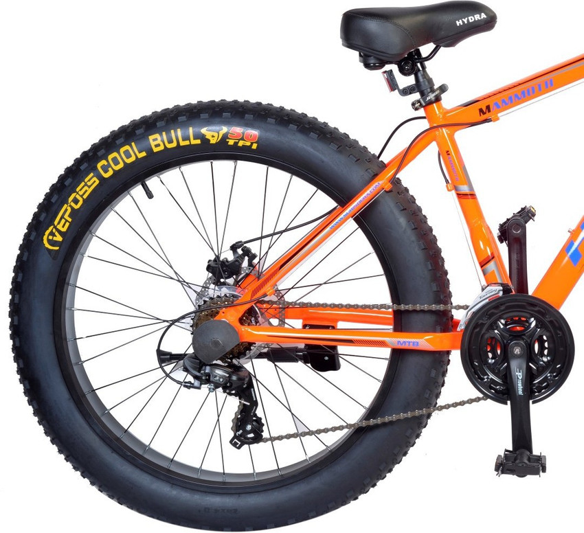 Mammoth bike best sale