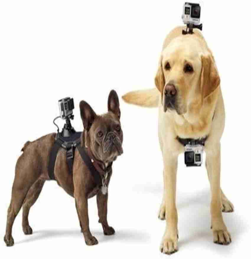 ZenShanti Fetch Dog Chest Shoulder Strap Belt Mount for GoPro