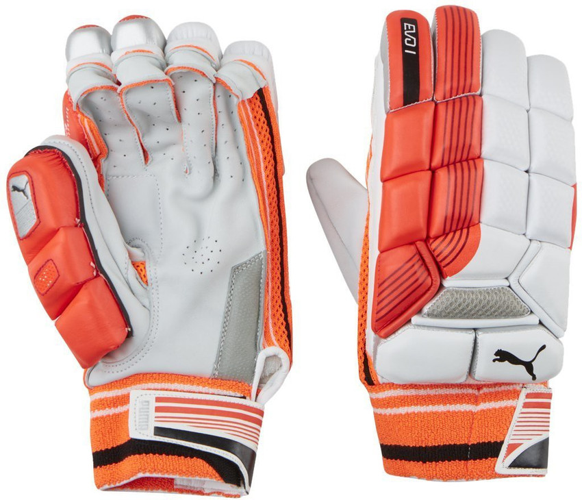 Puma evo 1 batting gloves 2025