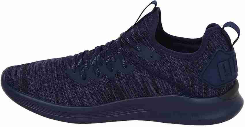 Puma ignite evoknit flash sales purple