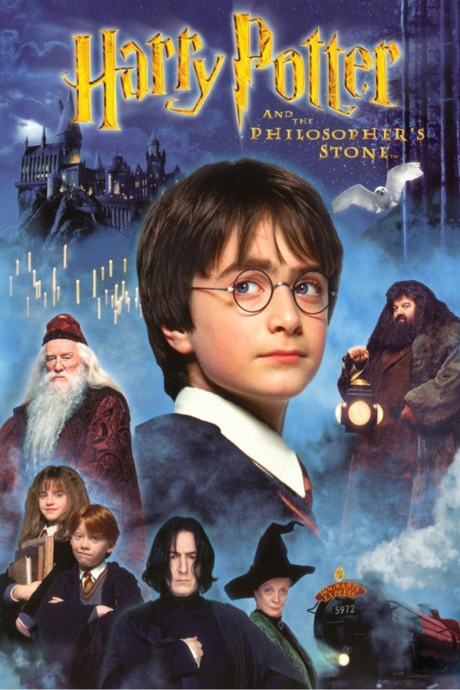 Harry Potter and the Philosopher s Stone D V D Price in India