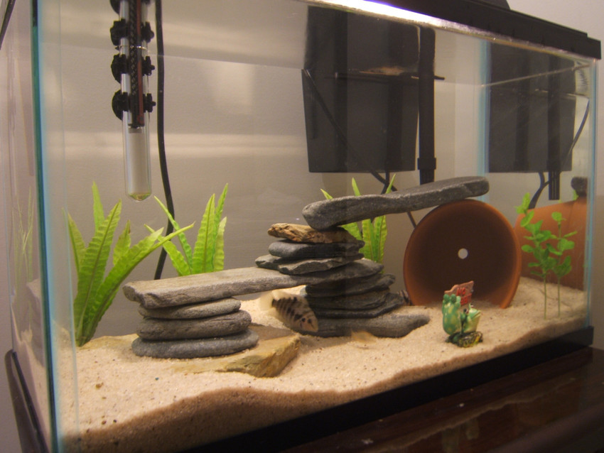 Aquarium sand store