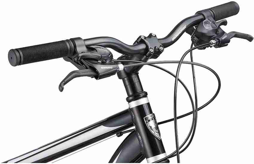 Schwinn iron horse sales