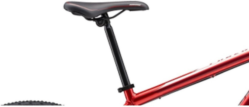 Iron cheap horse 29er
