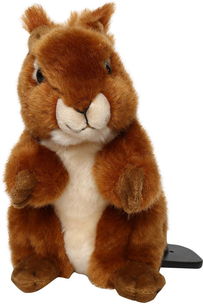 Hamleys Squirrel Plush Toy Soft Toy for Kids 17 cm Squirrel Plush Toy Soft Toy for Kids Buy No Character toys in India. shop for Hamleys products in India. Flipkart