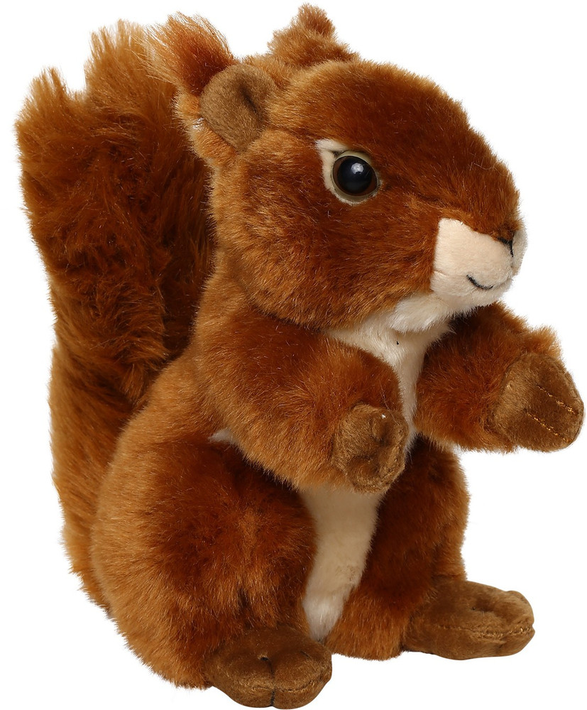 Squirrel soft toys new arrivals