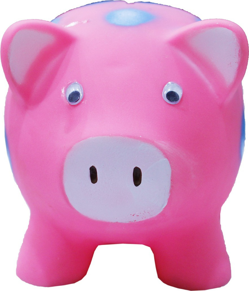 Pig shop coin toy