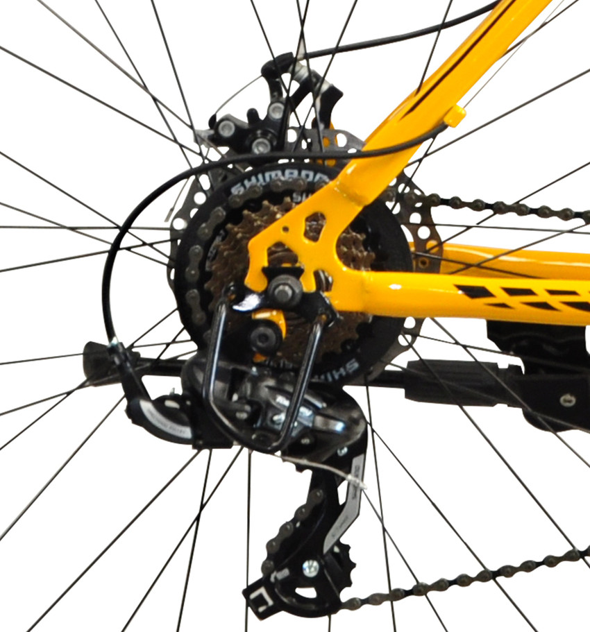 Frog viper x 101 cycle deals