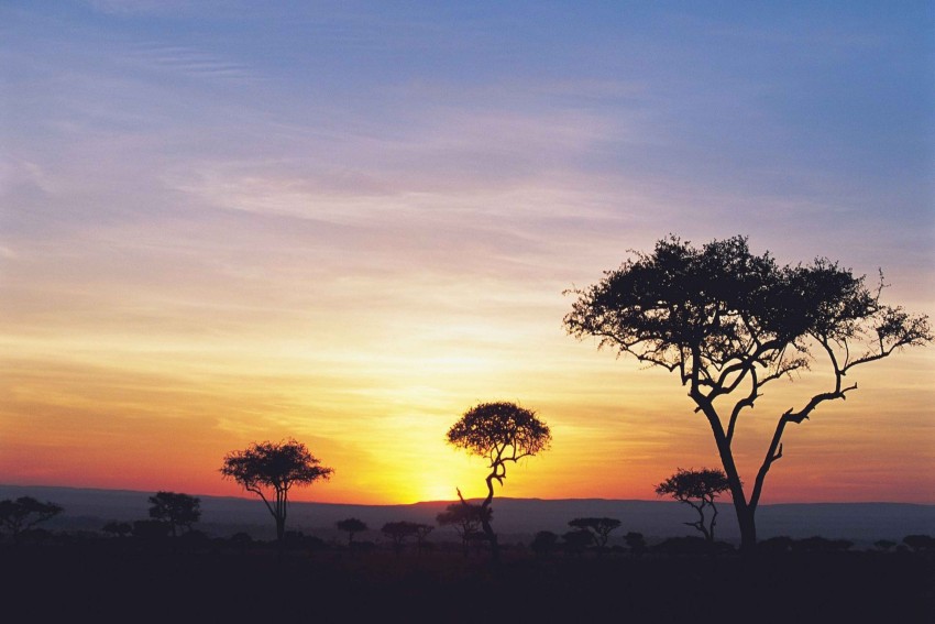 https://rukminim2.flixcart.com/image/850/1000/jh80ia80/poster/r/p/y/medium-azohp6158-azohp6158-safari-sunset-nature-full-hd-poster-original-imaf5aymhcz56qyu.jpeg?q=90