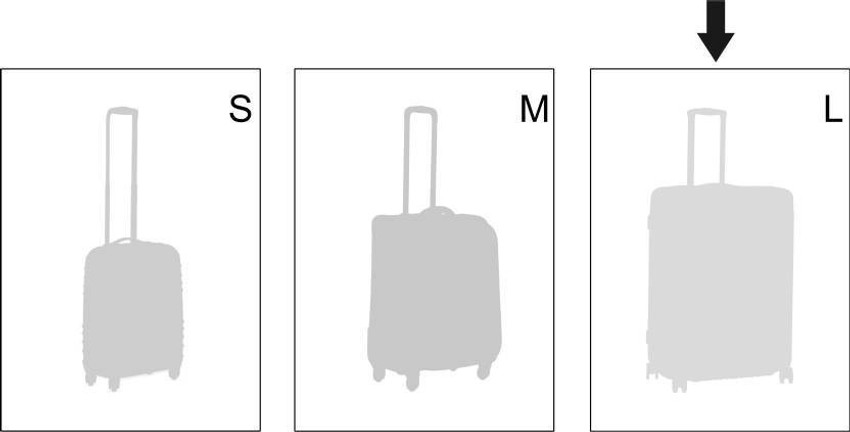 VIP Emperor Nxt Check in Suitcase 4 Wheels 28 inch Metallic Grey