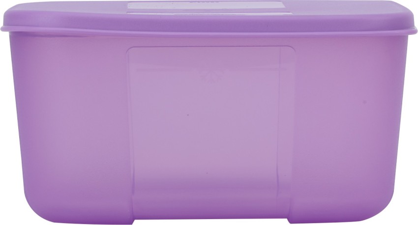 https://rukminim2.flixcart.com/image/850/1000/jhavdzk0/lunch-box/c/e/5/freezer-mate-mini-300-ml-pack-of-2-purple-tupperware-1-original-imaf5csujfgnwub2.jpeg?q=90
