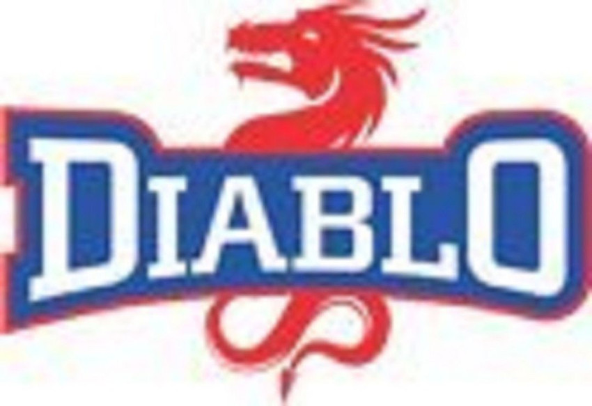 DIABLO Home Gym Combo Of Leather Gym Belt Arm Blaster Size XXL 44 Inch Fitness Accessory Kit Kit