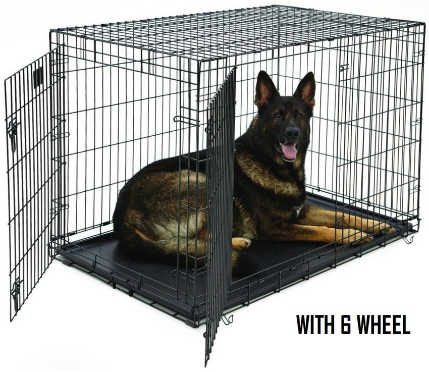 Jarman safed dog price deals