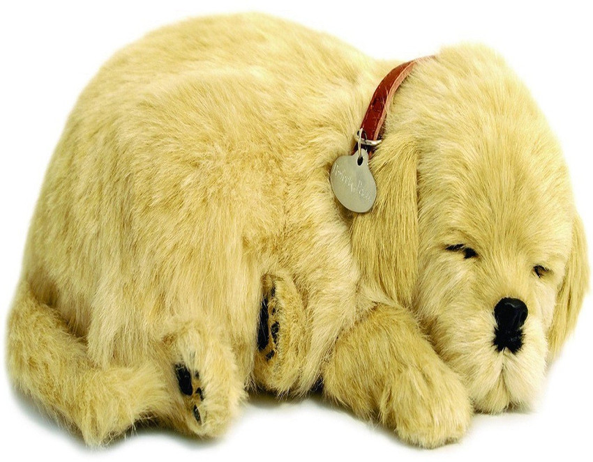 Perfect petzzz golden retriever 2025
