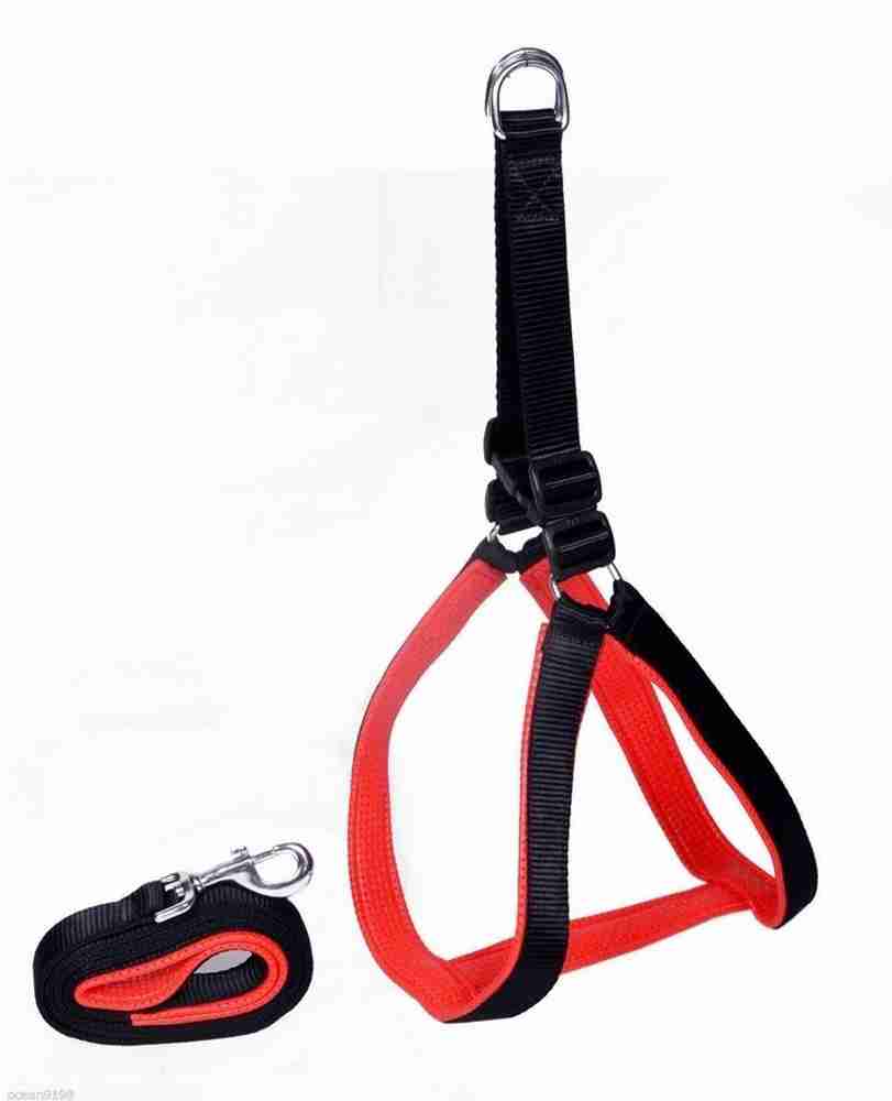 Planet dog harness outlet