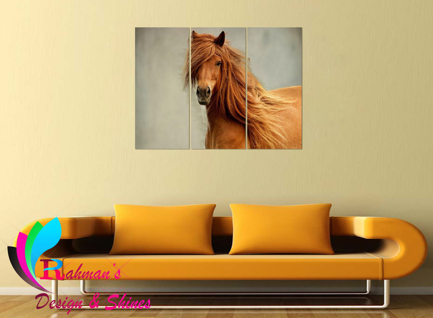 36x24 frame shop