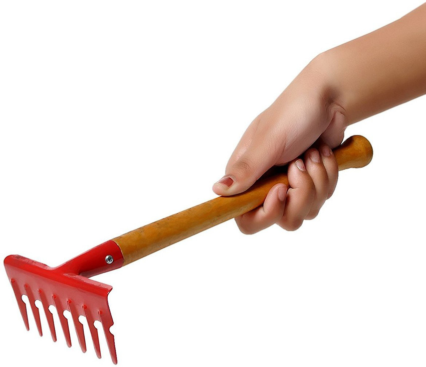 Tiller rake online
