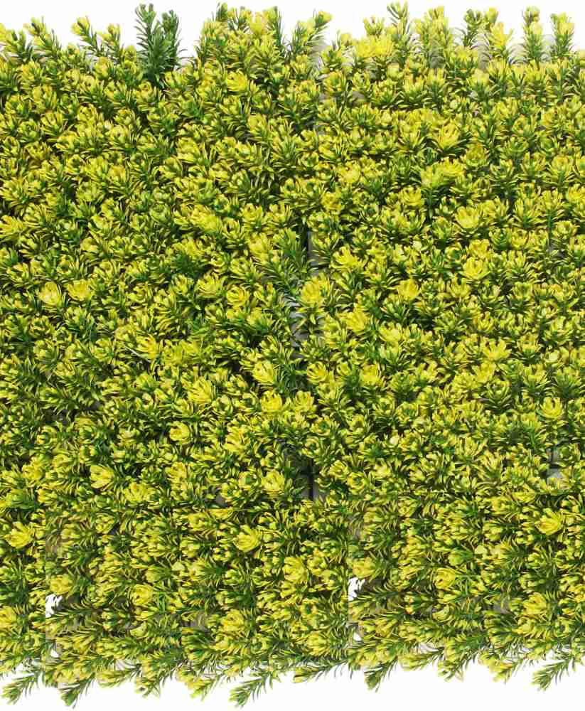 FOURWALLS Artificial PVC Boxwood Mat for wall décor (60 cm x 40 cm x 5 cm,  Yellow) Artificial Plant Price in India - Buy FOURWALLS Artificial PVC  Boxwood Mat for wall décor (