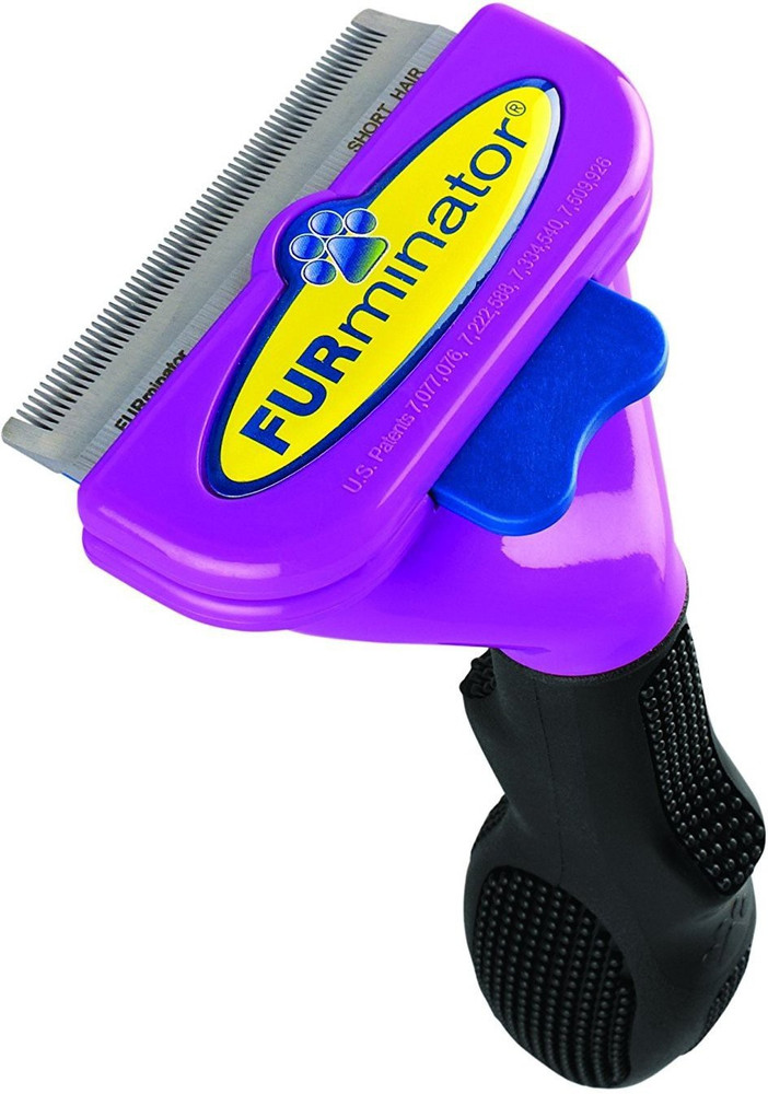 FURMINATOR Cat Deshedding Tool Short Hair Shedding Blade for Cat Price in India Buy FURMINATOR Cat Deshedding Tool Short Hair Shedding Blade for Cat online at Flipkart