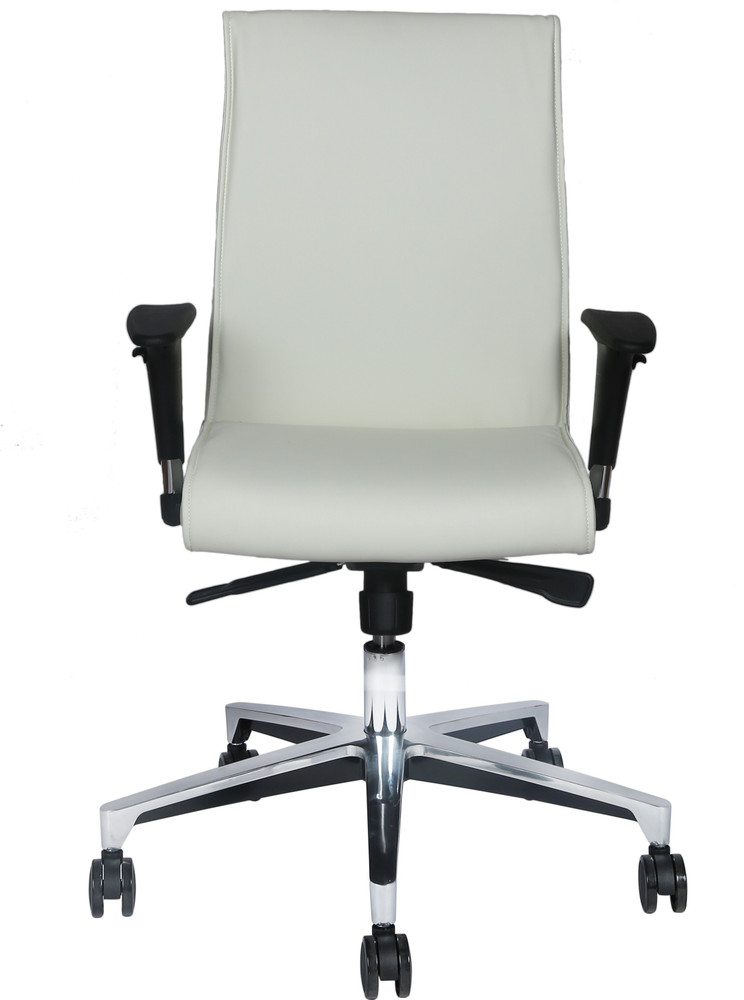 Viva ergonomic hot sale mesh chair