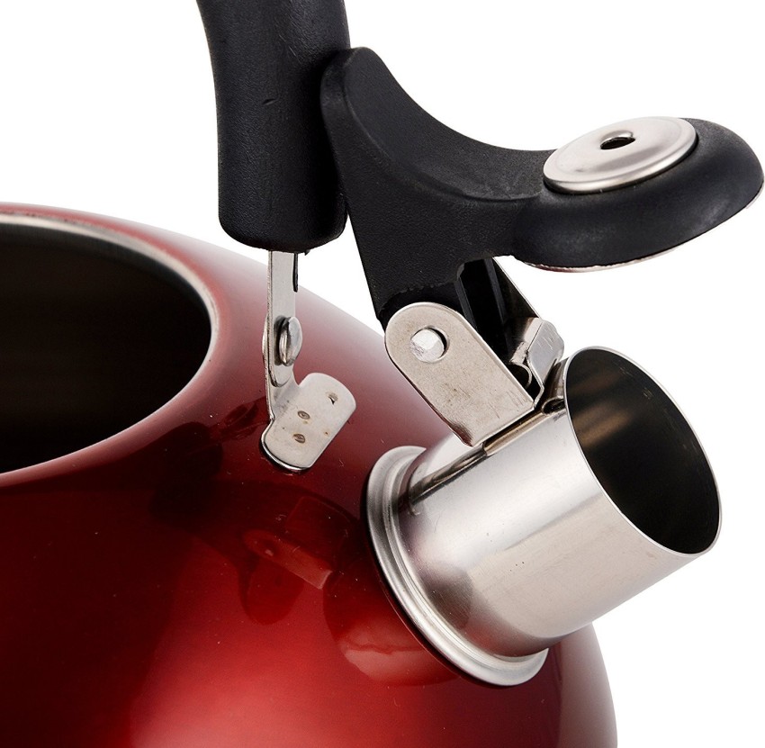 Bergner best sale tea kettle