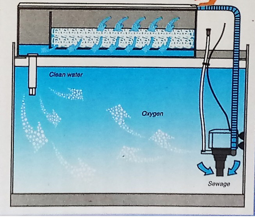 Aquarium top filter setup online