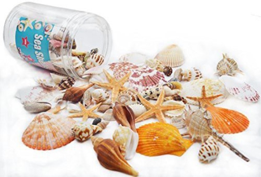 135 PCS Sea Shells Mixed Beach Seashells Starfish, Colourful Natural  Seashells Perfect Accents for Candle Making,Home Decorations, Beach Theme  Party Wedding Decor, Fish Tank and Vase Fillers : : Home