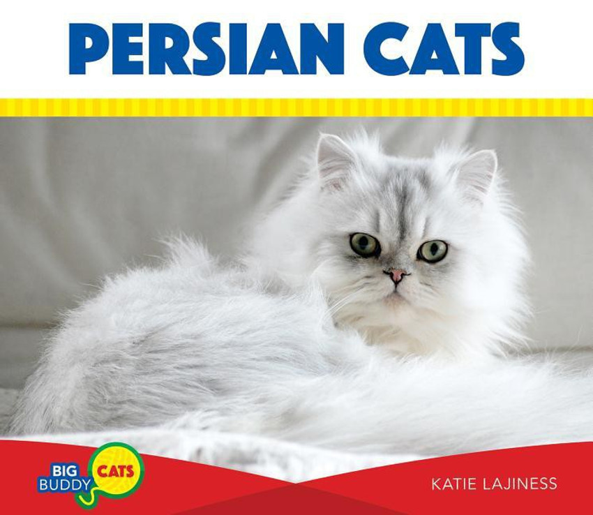 Buy hot sale persian cat