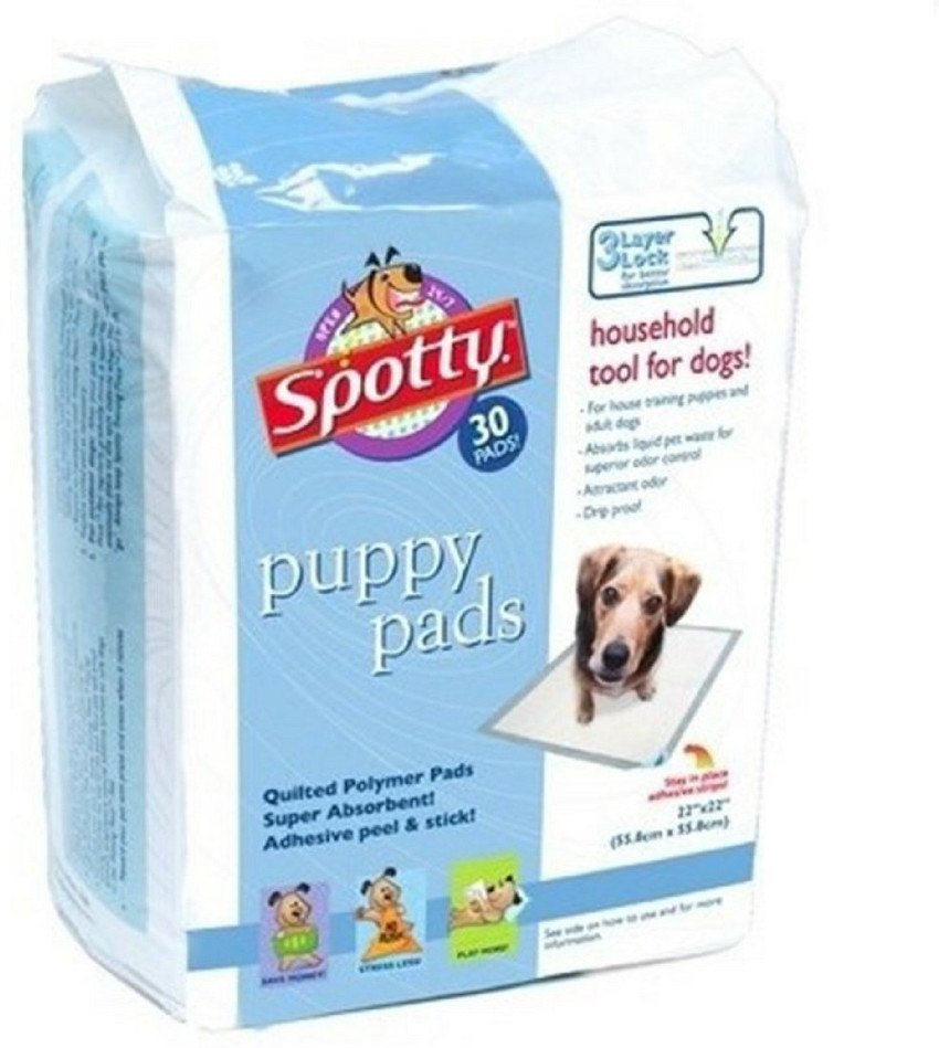 Diapers for puppy top potty training