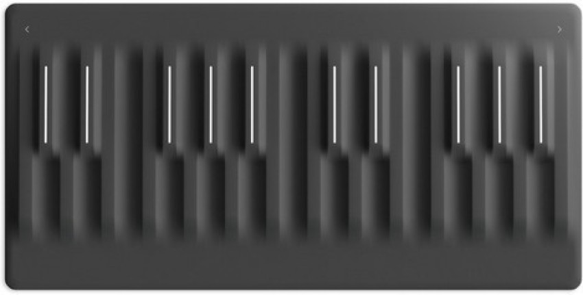 Roli seaboard deals price