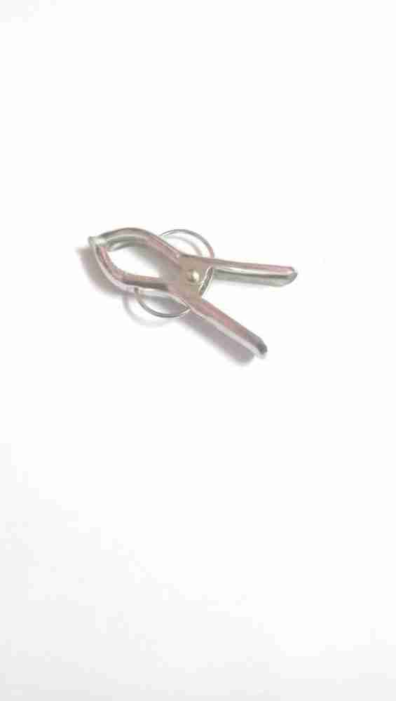 Buy Maruti Premium Stainless Steel Cloth Clip I20 12 Pcs Online At