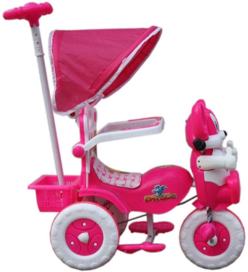 Ehomekart Amardeep and Co Baby Musical Tricycle with Parental