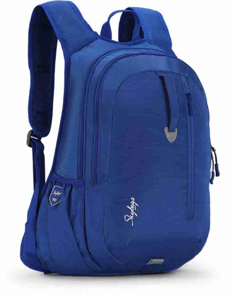 SKYBAGS XCIDE PLUS 04 SCHOOL BAG BLUE 45 L Backpack Blue Price in India Flipkart